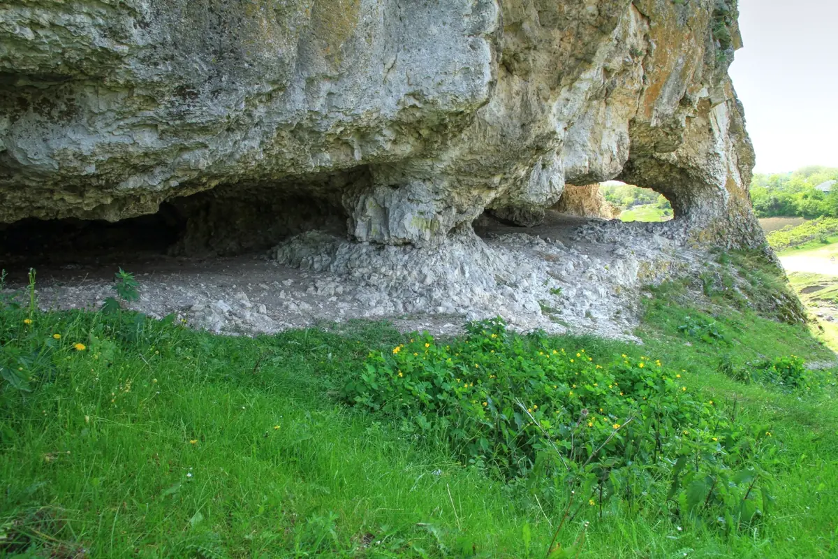Intrarea în peștera din reciful de la Butești, cu iarbă verde în prim-plan